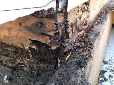 Professional water damage restoration services in Santa Clarita